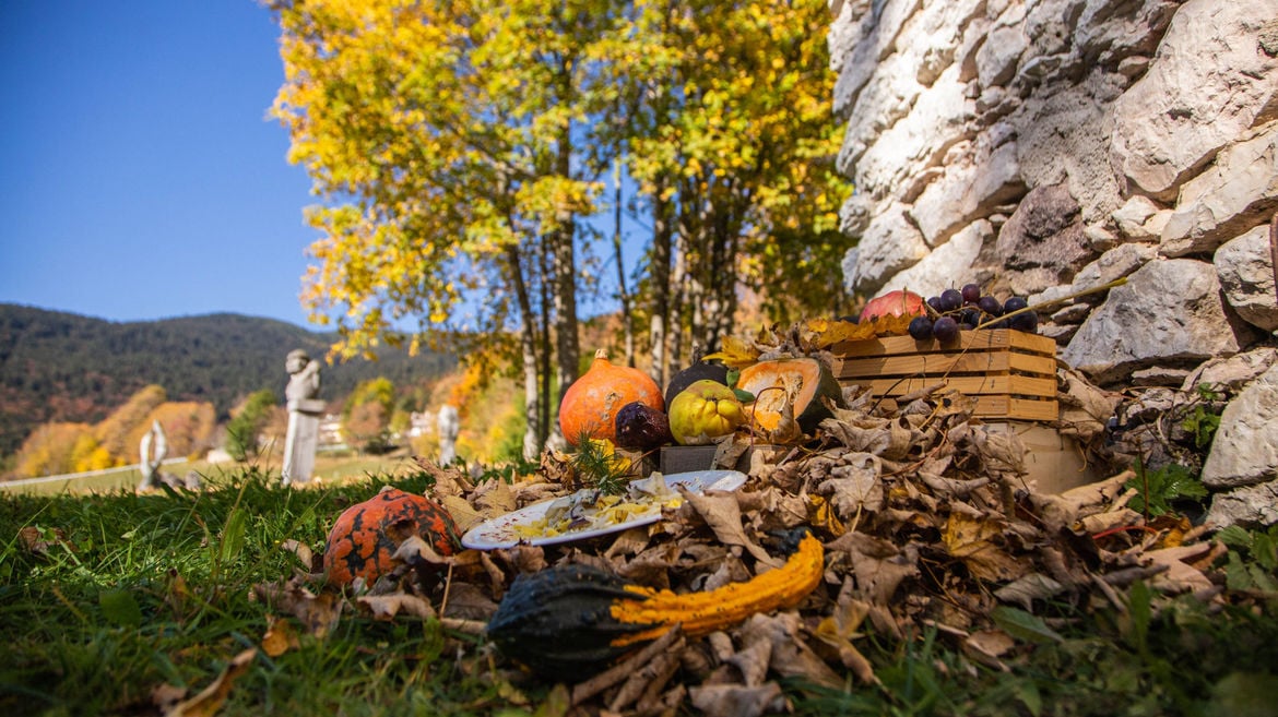 Herbstaromen im Trentino: Pilze, Äpfel und Saisonküche