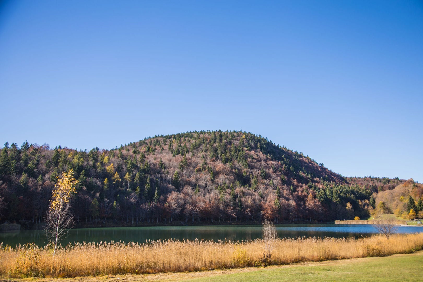 Cosa fare sull'Alpe Cimbra a ottobre: foliage, castagne ed eventi