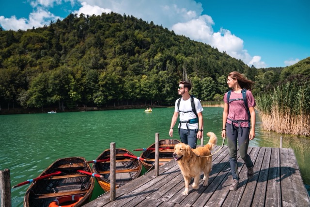 Bau Beach: der Sommer auf sechs Beinen