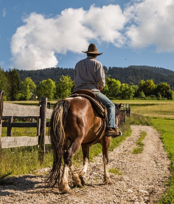 alpe cimbra escursioni a cavallo