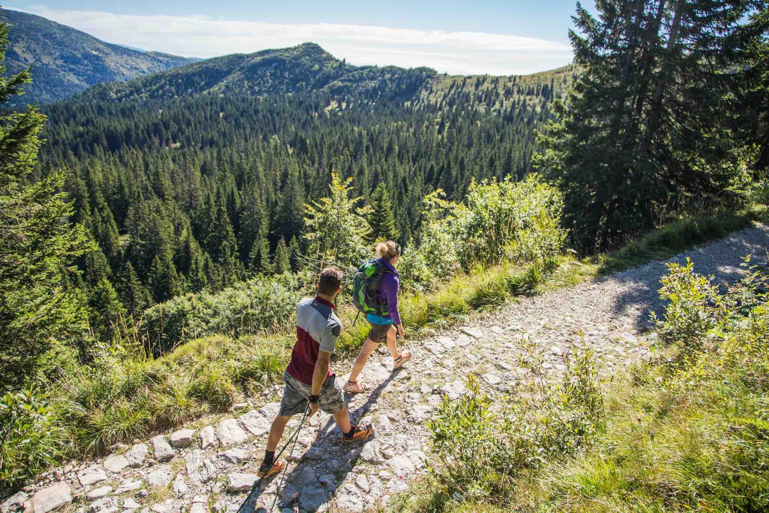 lago di lavarone trekking